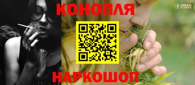 сатива Гай