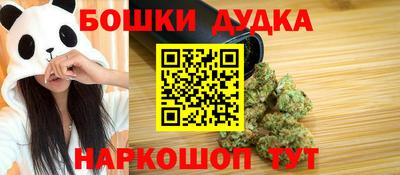 сатива Гай