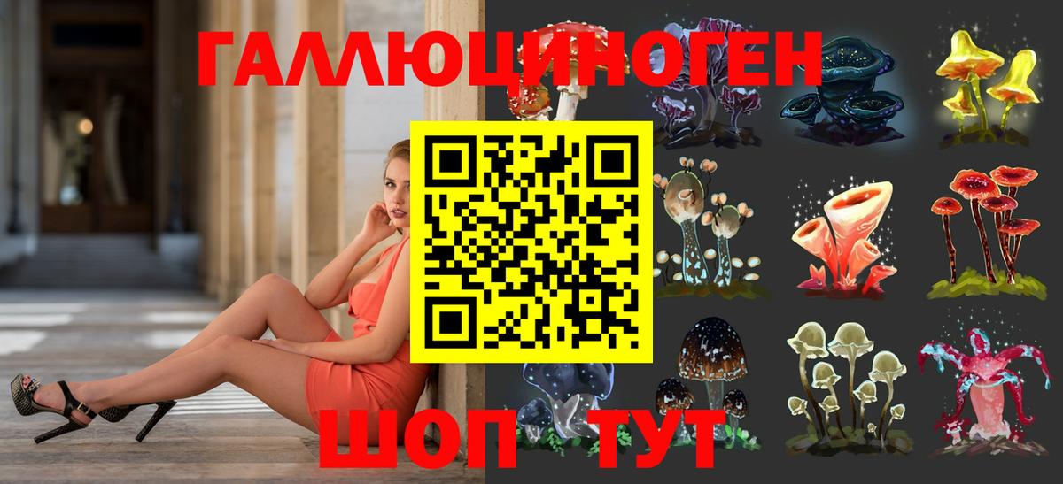 Галлюциногенные грибы Cubensis Карасук