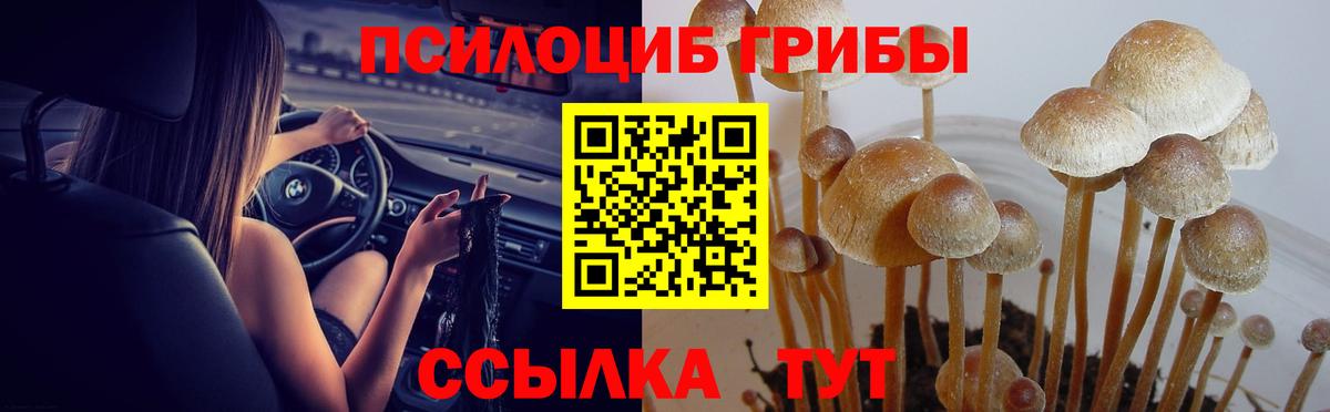 Галлюциногенные грибы ЛСД  Вход с VPN  Карасук 
